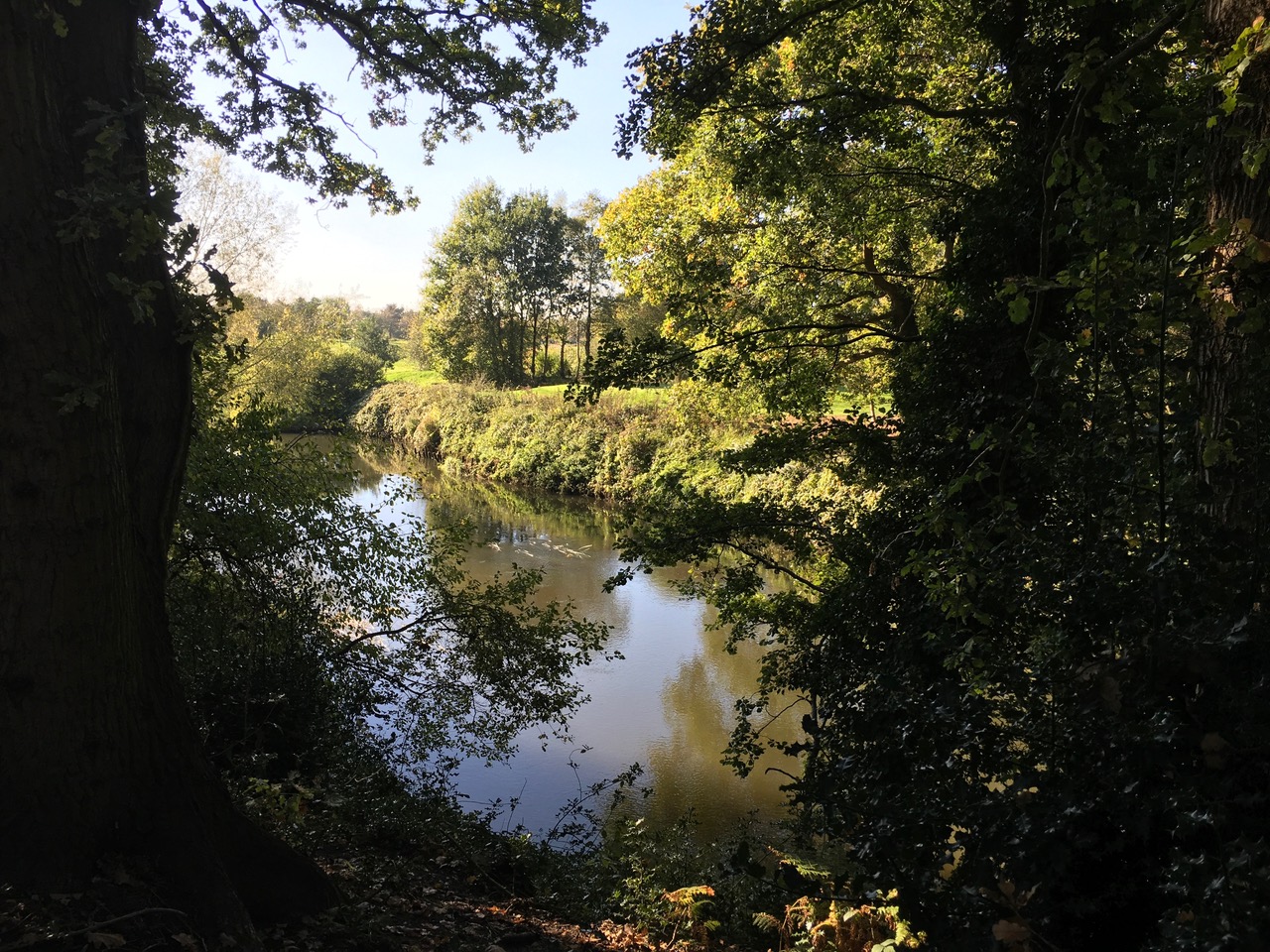 Down by the riverside - Wisley is a great place to relax