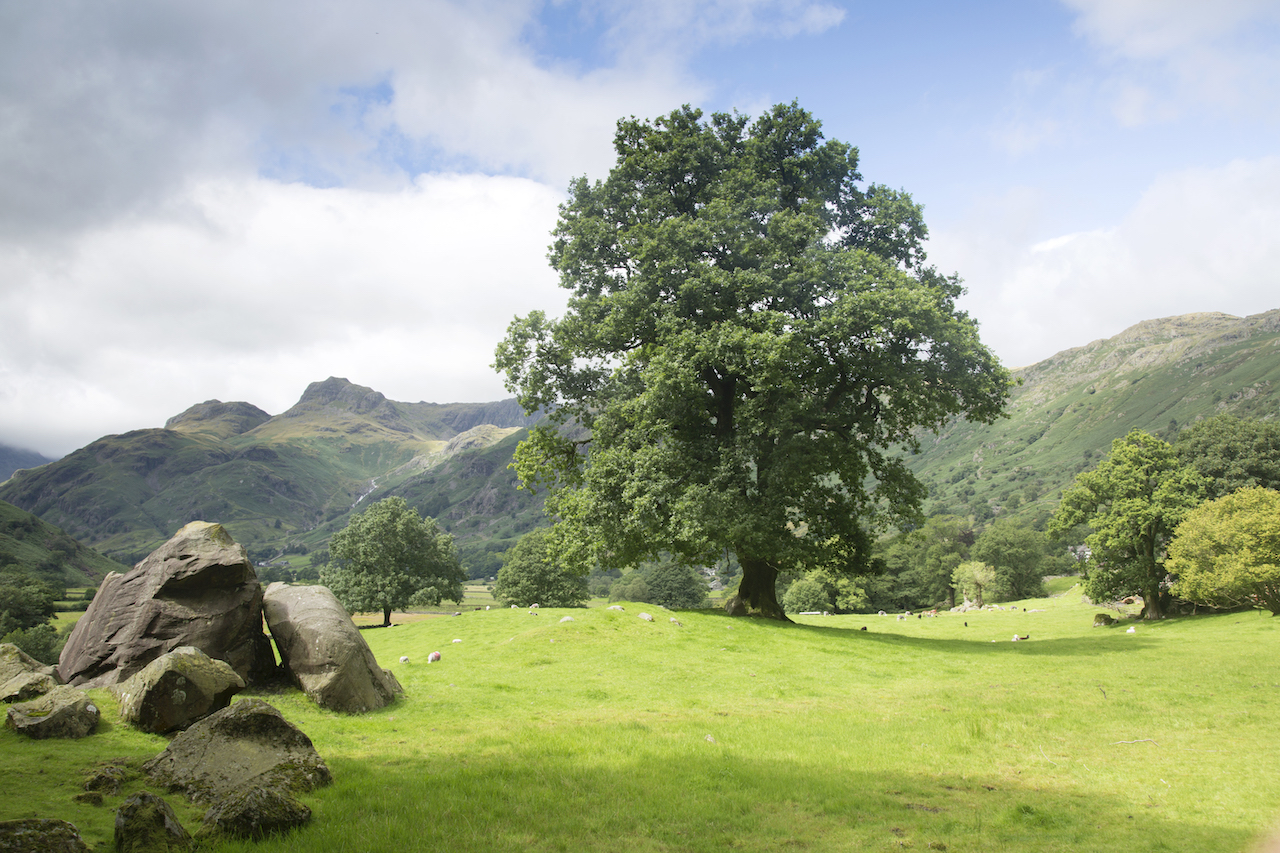 Great Langdale Valley with the Boulders to the left (KevinAlexanderGeorge)