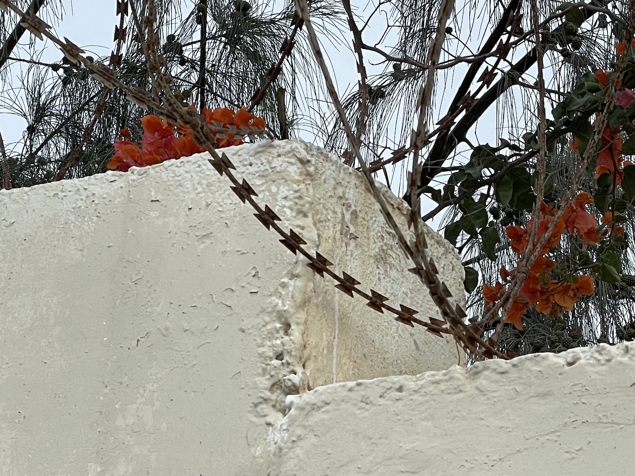 Mogadishu is not a peaceful place - high walls and razorwire surrounded me