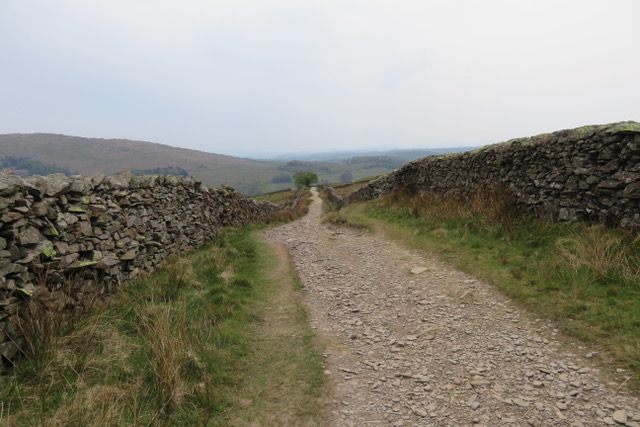 Nanny Lane and its perfect dry-stone walling