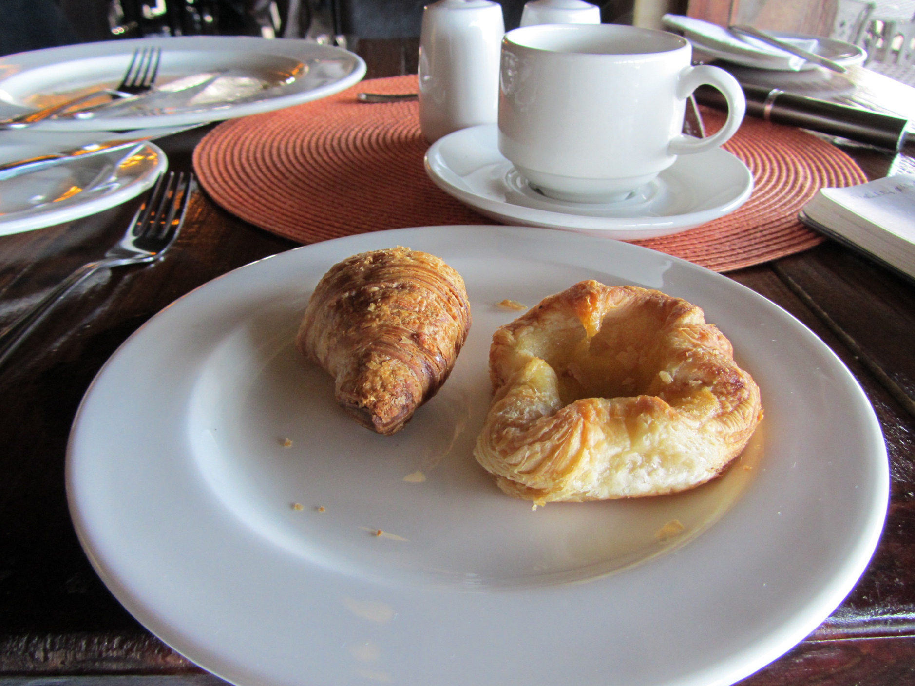 Stale croissant and synthetic Danish - not a good start to a safari day