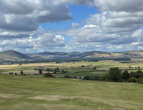 Flying saucers and Northumbrian Rock Art