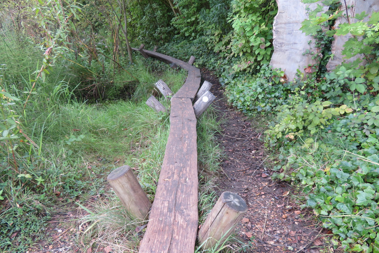 The London Wetland Centre is largely accessible, although in a few places a wheelchair would have a hard time
