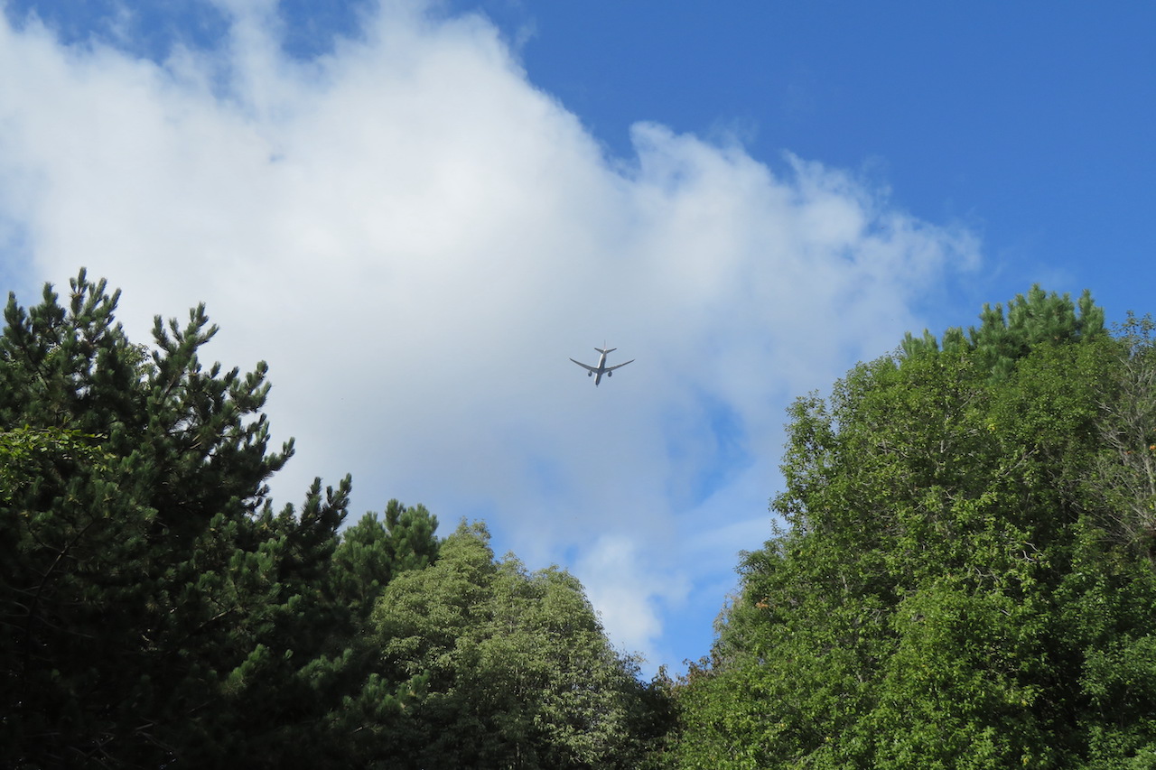 The London Wetland Centre is on the Heathrow flight path