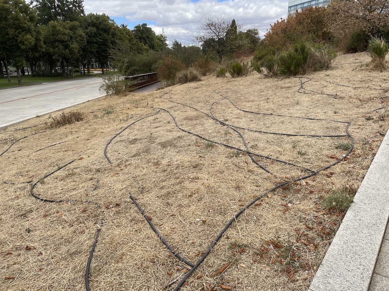 Burgos in Spain was dried out