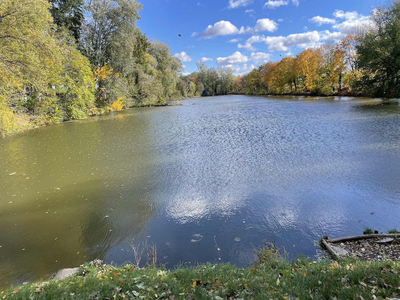 Autumn colours near the Danube in Krems