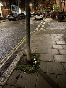 Empty beer bottles in central London