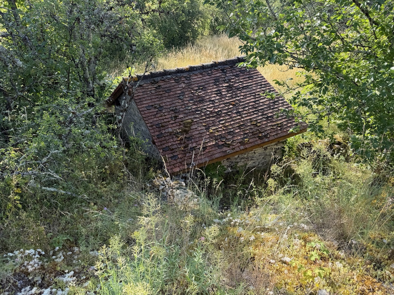 A cabane