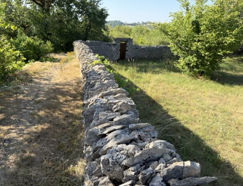 Stone and Silence