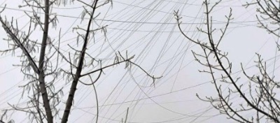 Fibreoptic cable suspended from trees (courtesy Conflict and Environment Observatory)