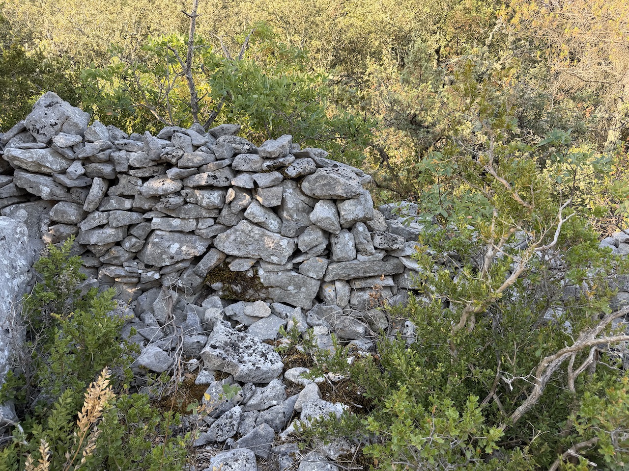 Much of the Mur de la Peste has either collapsed or been dismantled