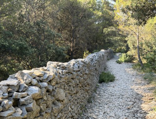 Walking the Plague Wall
