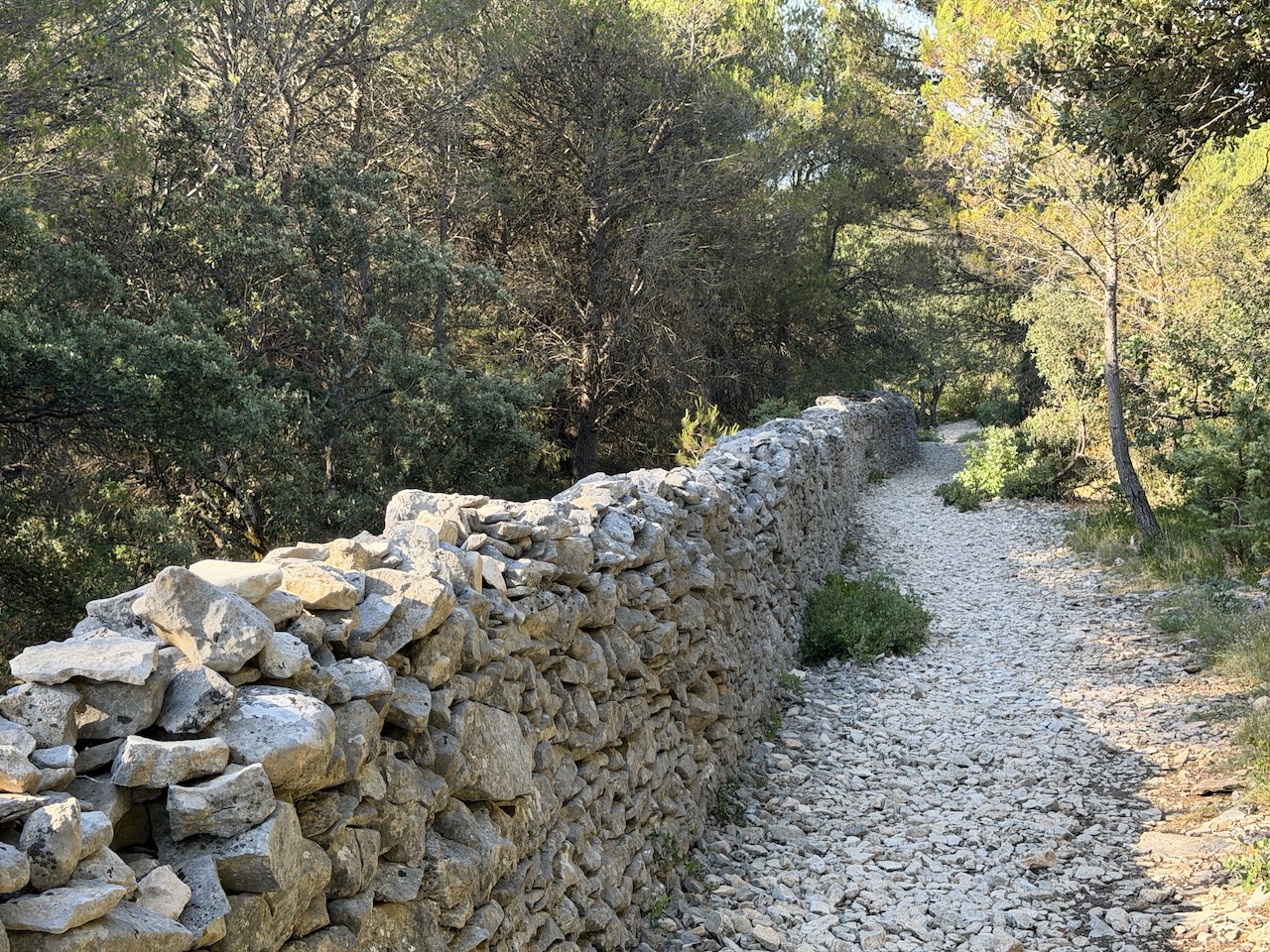 The Mur de la Peste