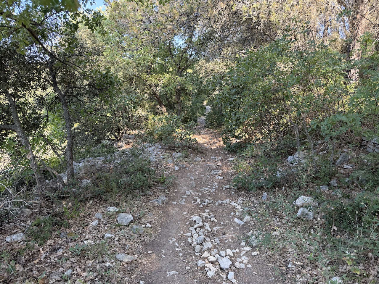The terrain is rough and gravelly