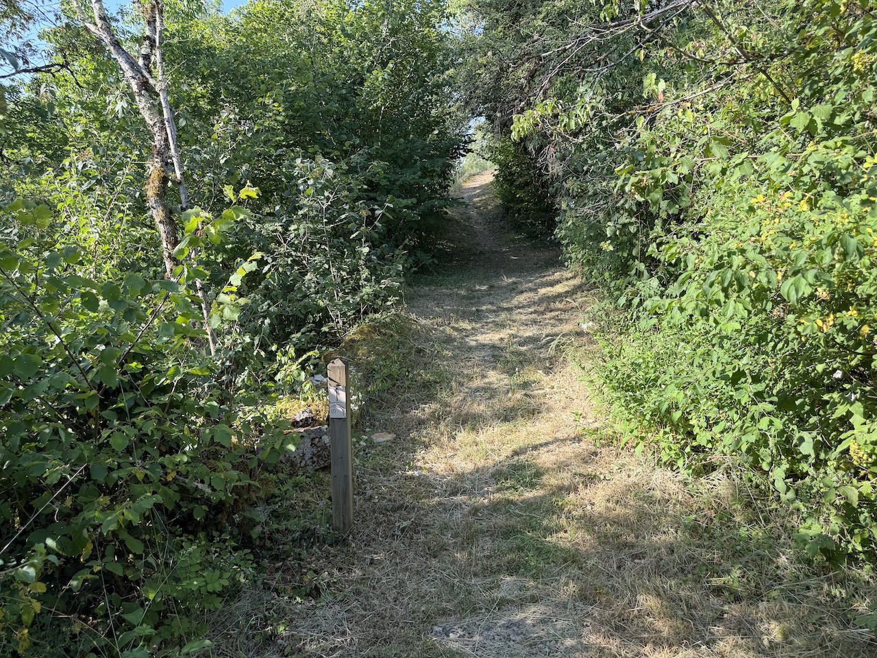 The trail is rough underfoot